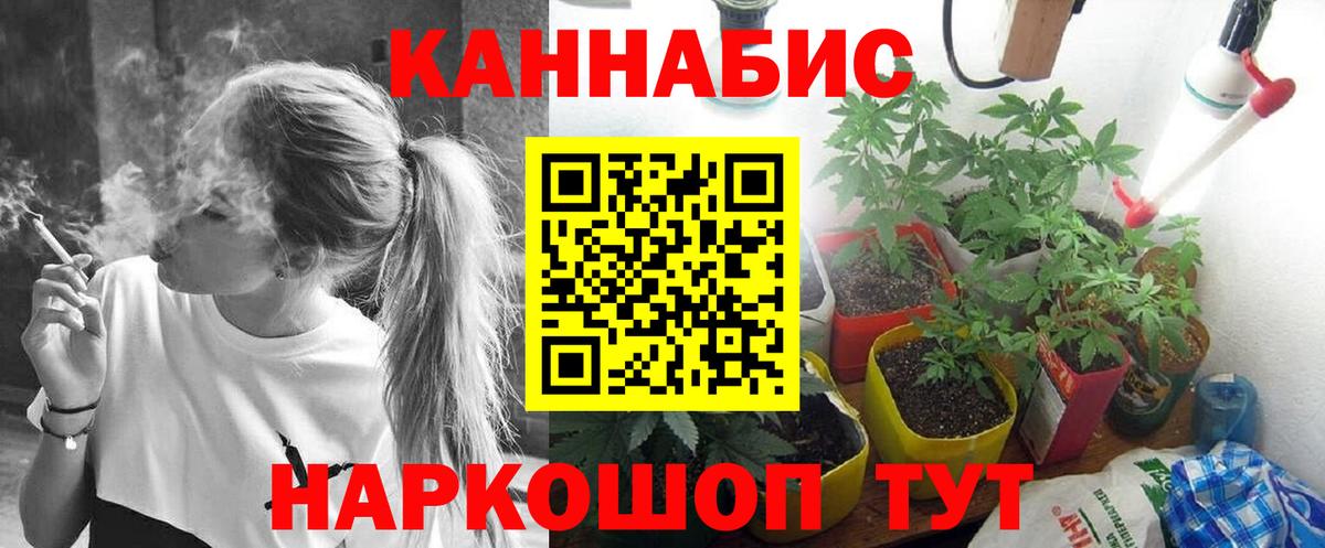 Конопля планчик Серов